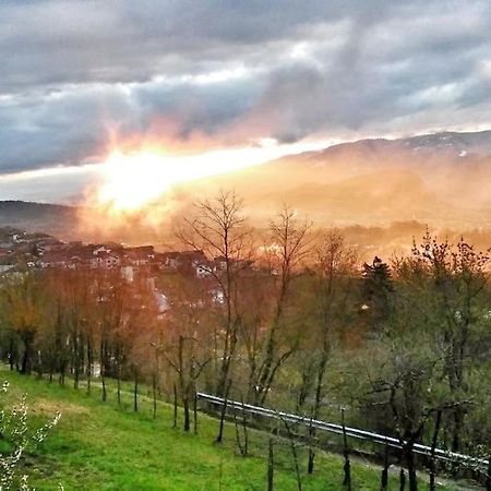 Casa nella Natura Il Risveglio degli Elfi Pedavena Esterno foto