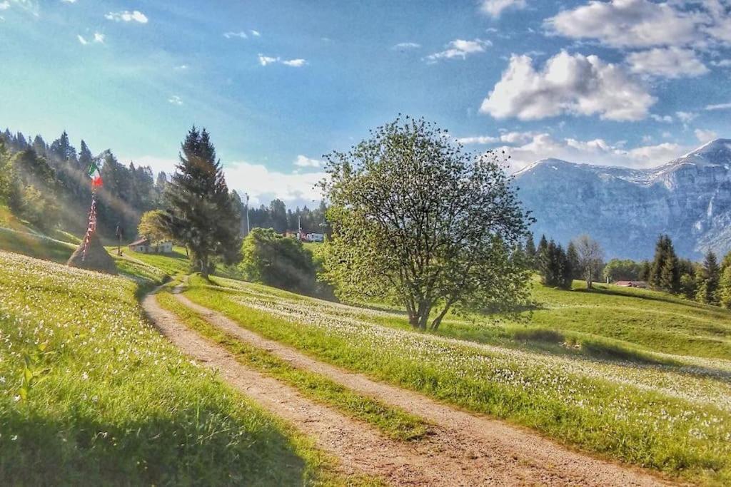 Casa nella Natura Il Risveglio degli Elfi Pedavena Esterno foto