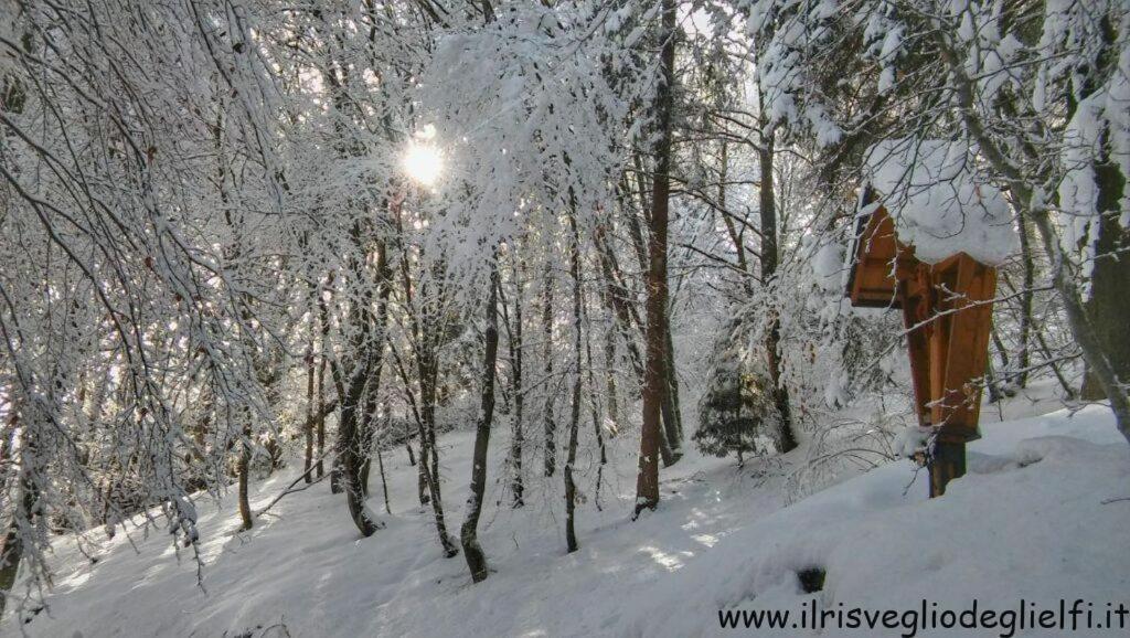 Casa nella Natura Il Risveglio degli Elfi Pedavena Esterno foto